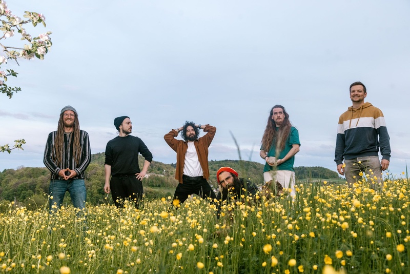 The Ammonites [ch]