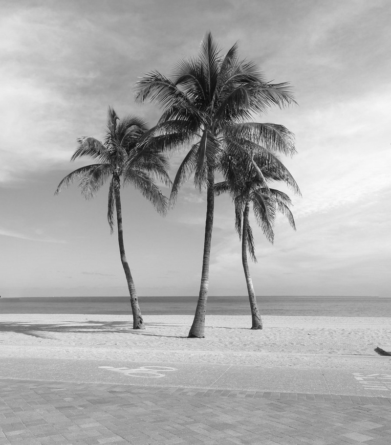 Club Tropicana
