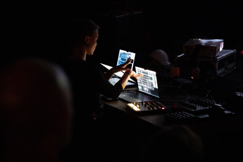 Royal Fish • VJ.EXE Arena Workshop for Beginners