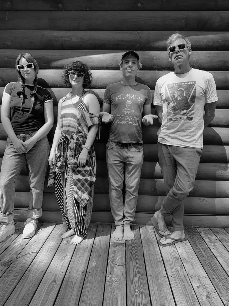 Jeffrey Lewis and The Voltage (US)