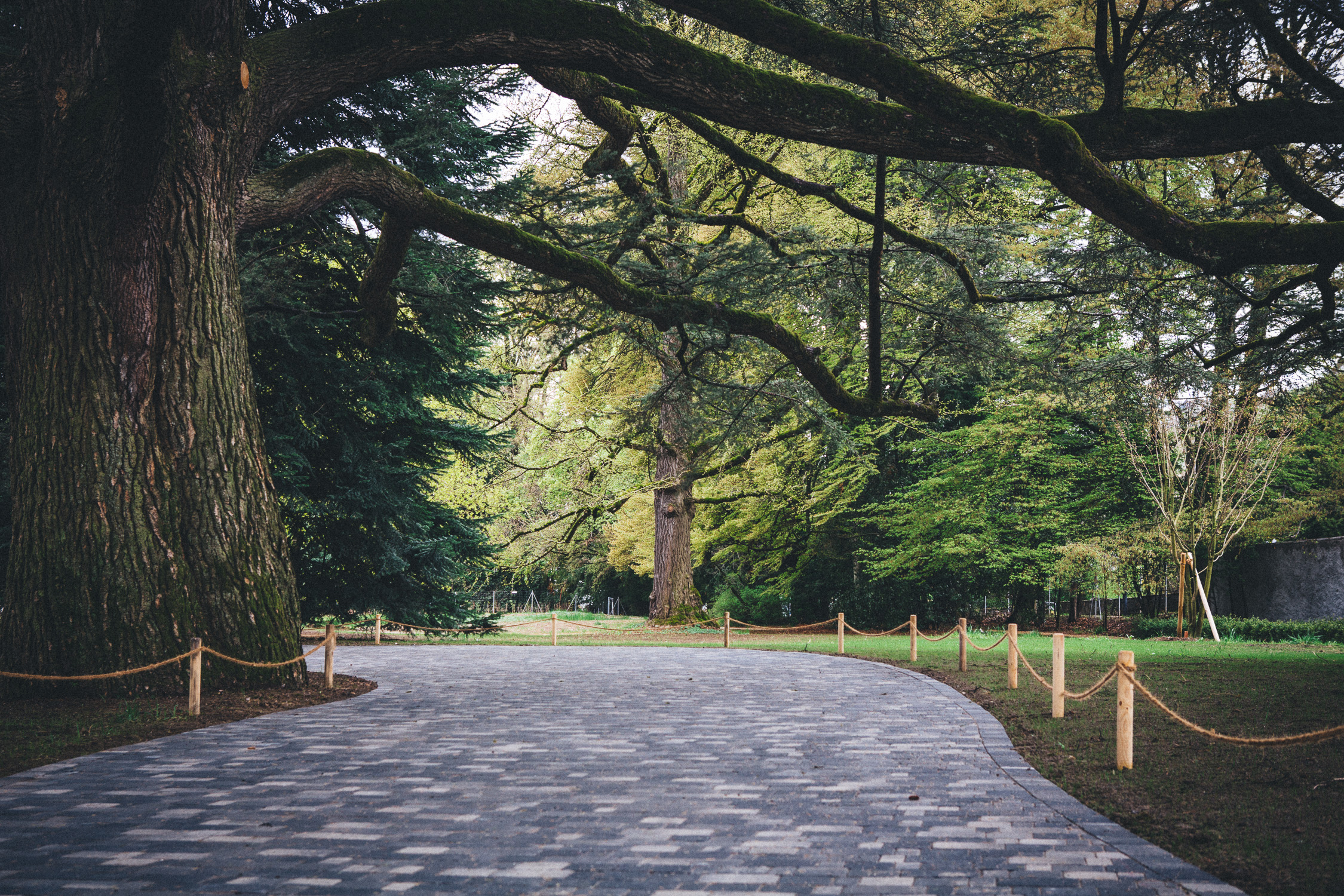 Chaplin's World by Grévin