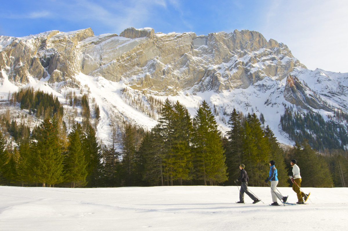 Raquettes à neige - Villars-Gryon