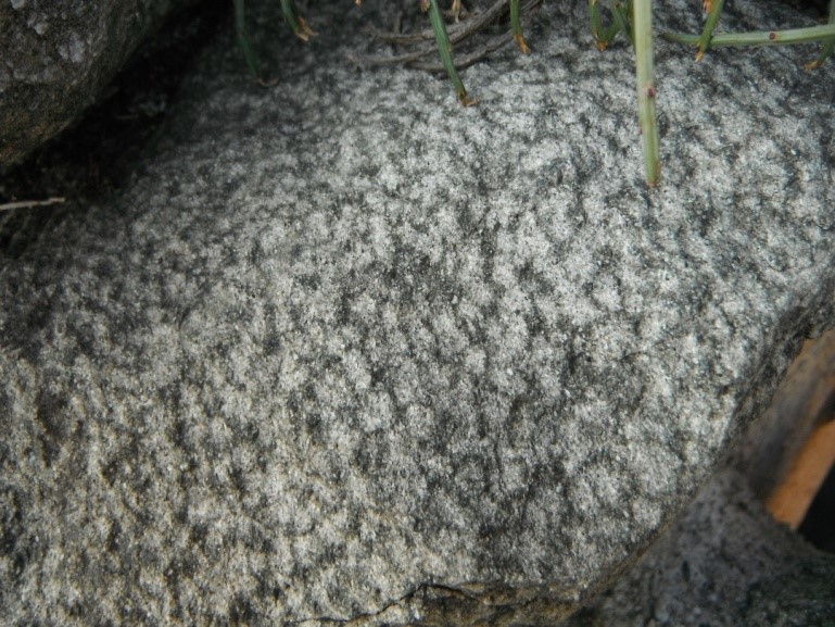 Le Grès de Taveyanne