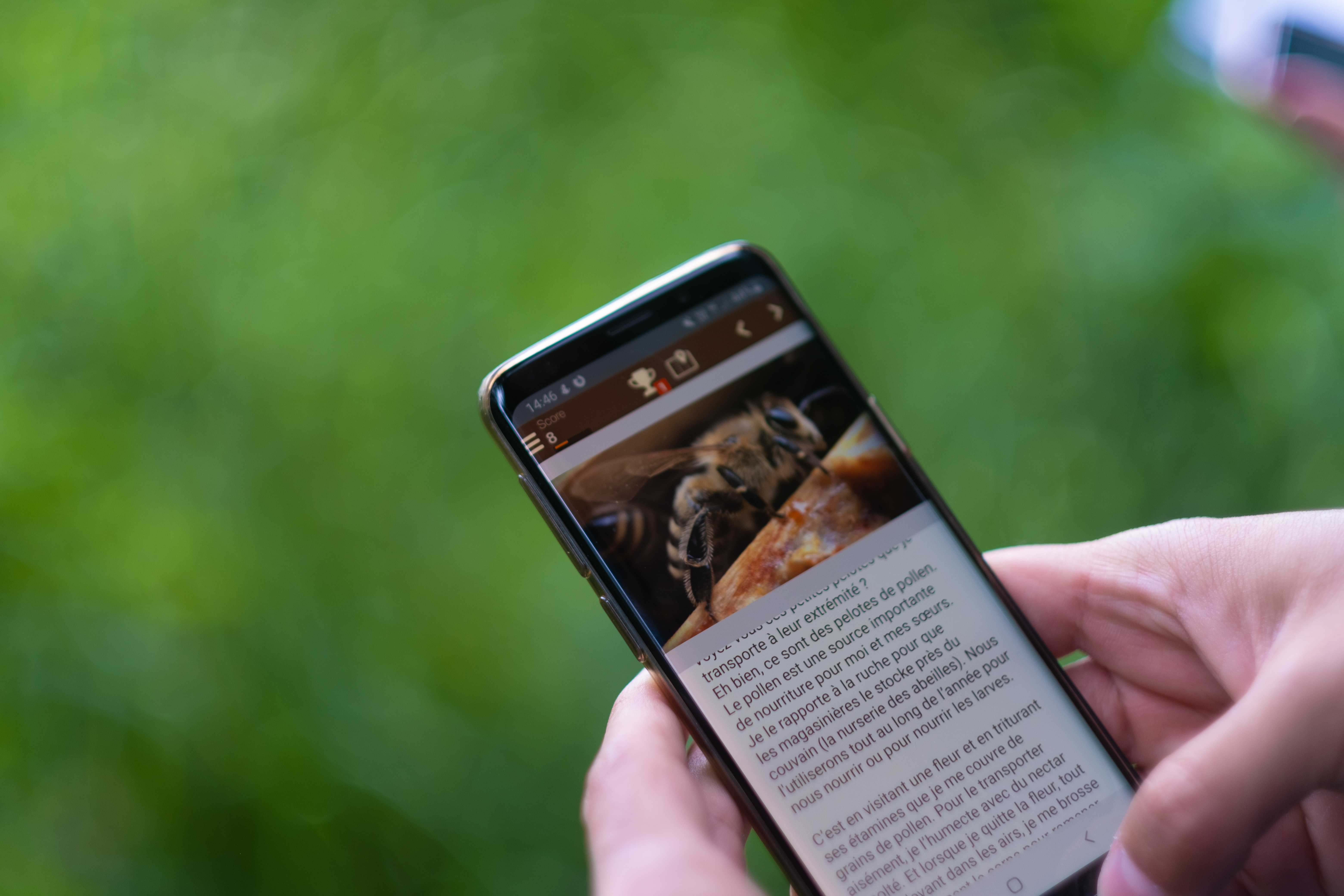 Balade autour du Miel