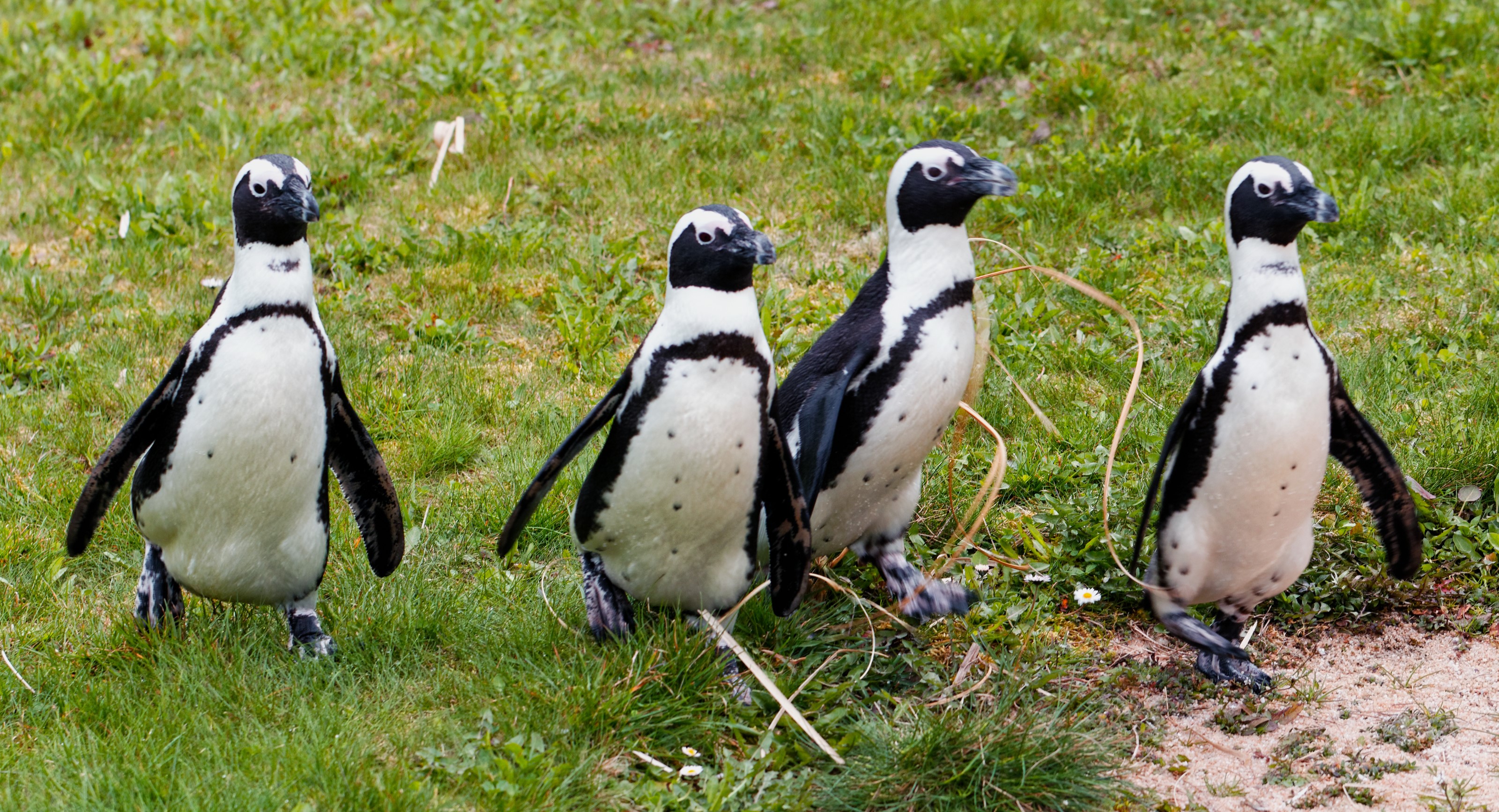 Tropiquarium de Servion