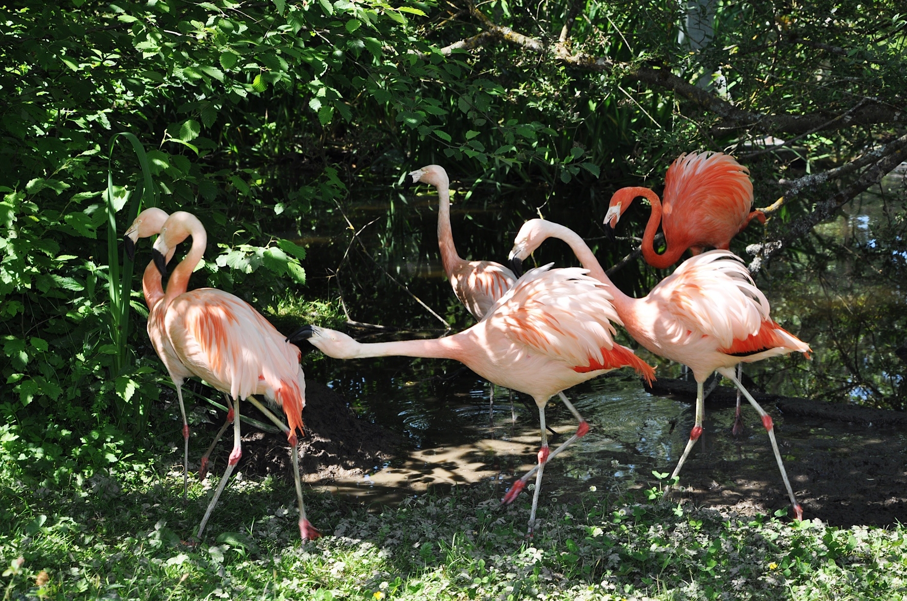 Tropiquarium de Servion