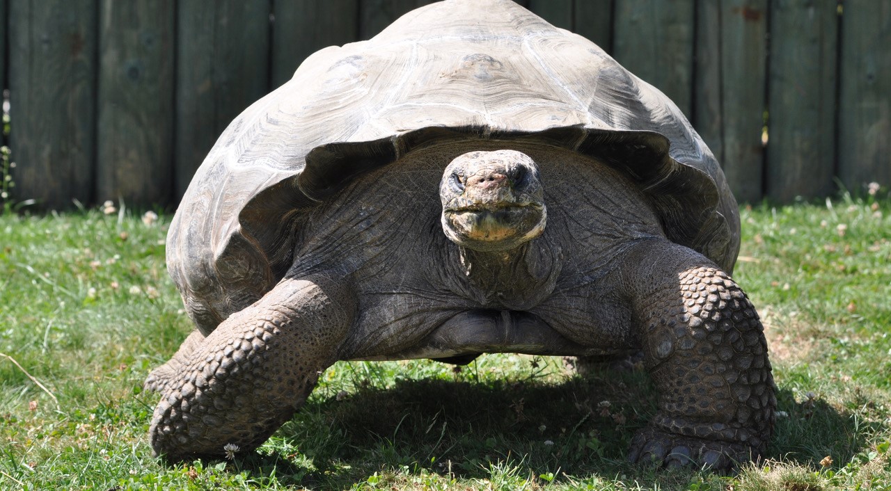 Tropiquarium de Servion