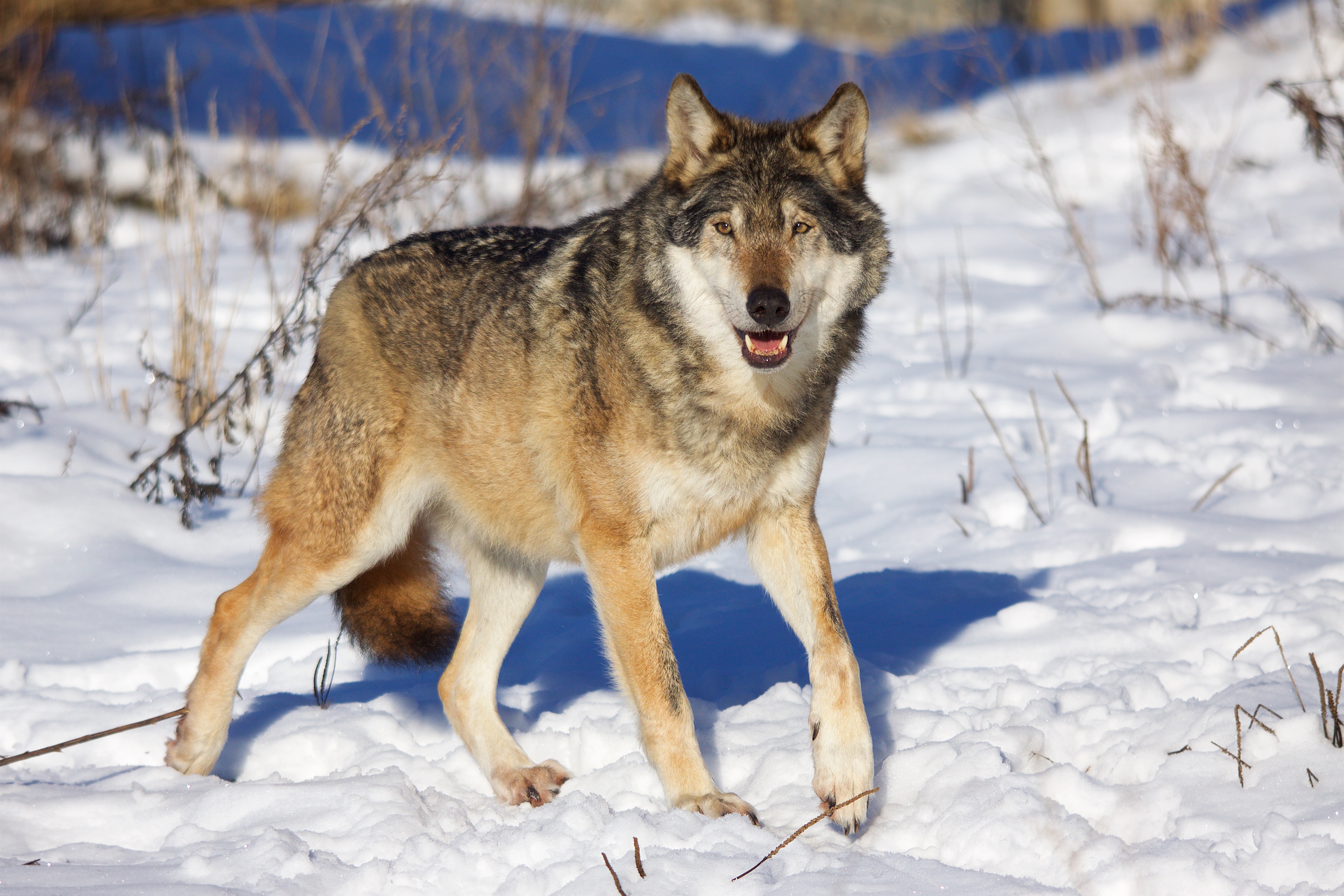 Parc animalier La Garenne