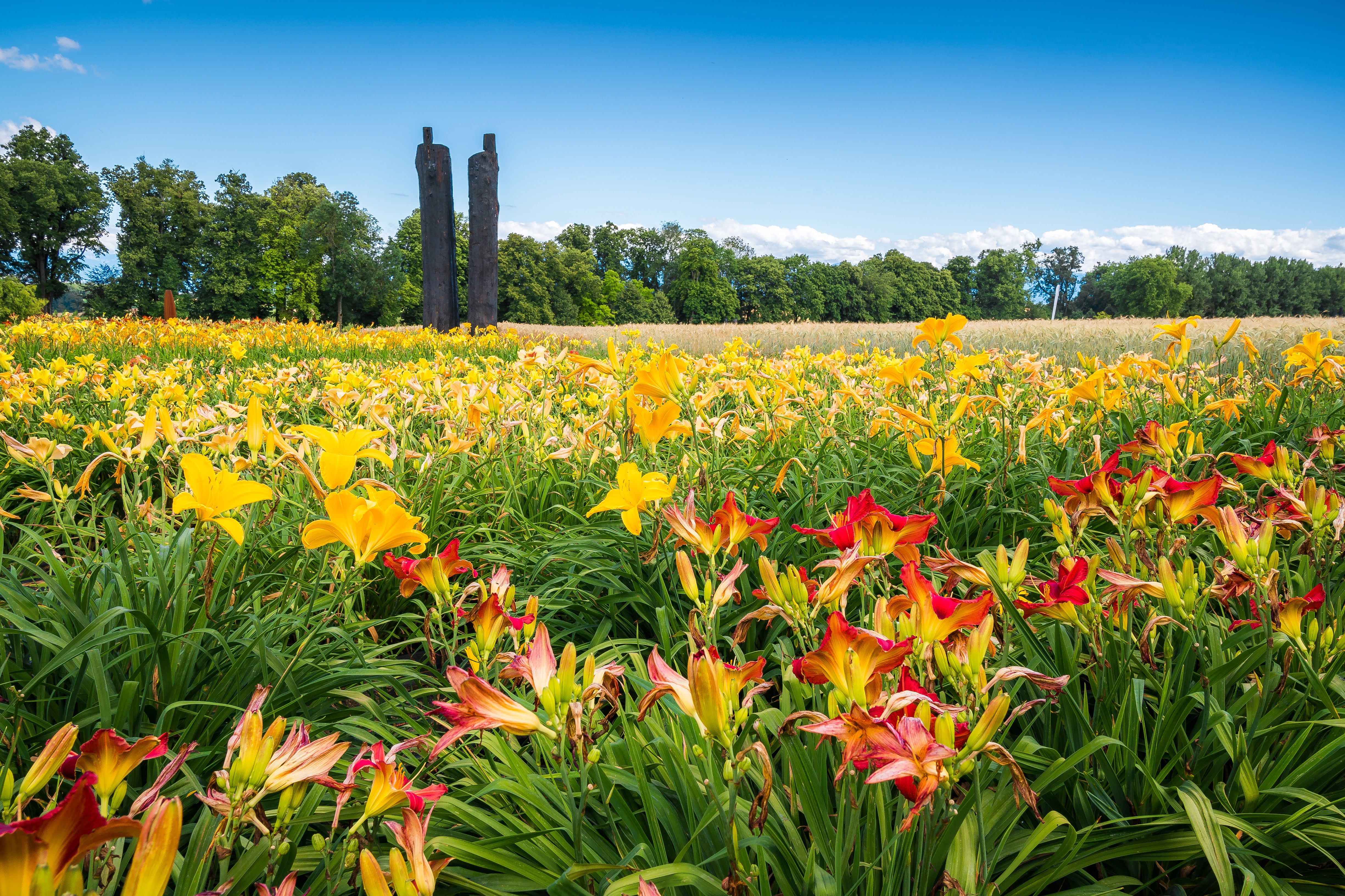 Château de Vullierens