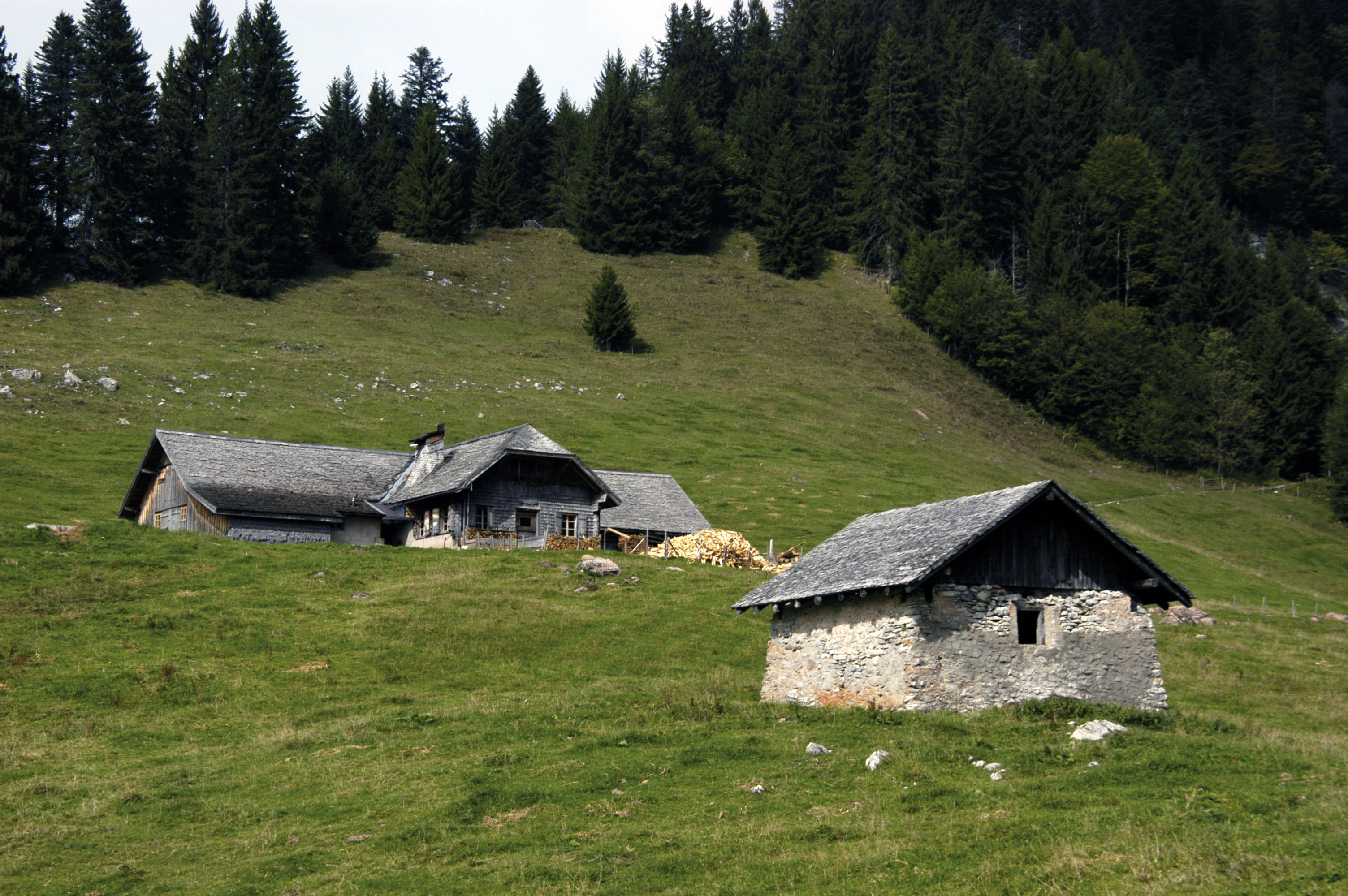 Le Parc naturel régional Gruyère Pays-d’Enhaut