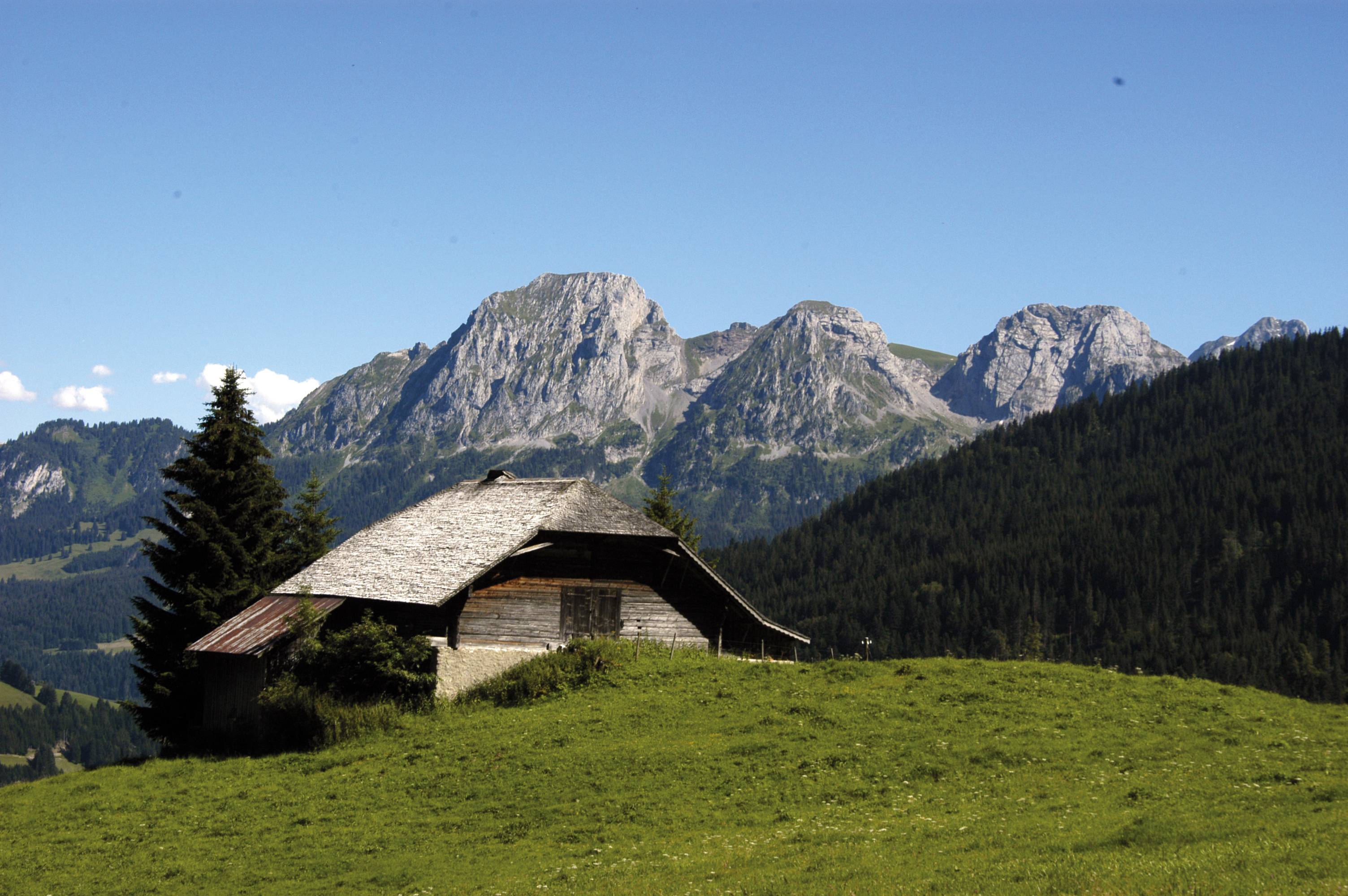 The regional nature park Gruyère Pays d’Enhaut