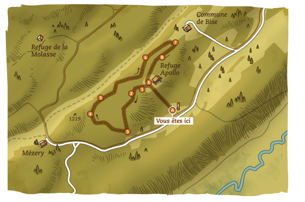 Sentier découverte "Les Arbres, entre visible et invisible"