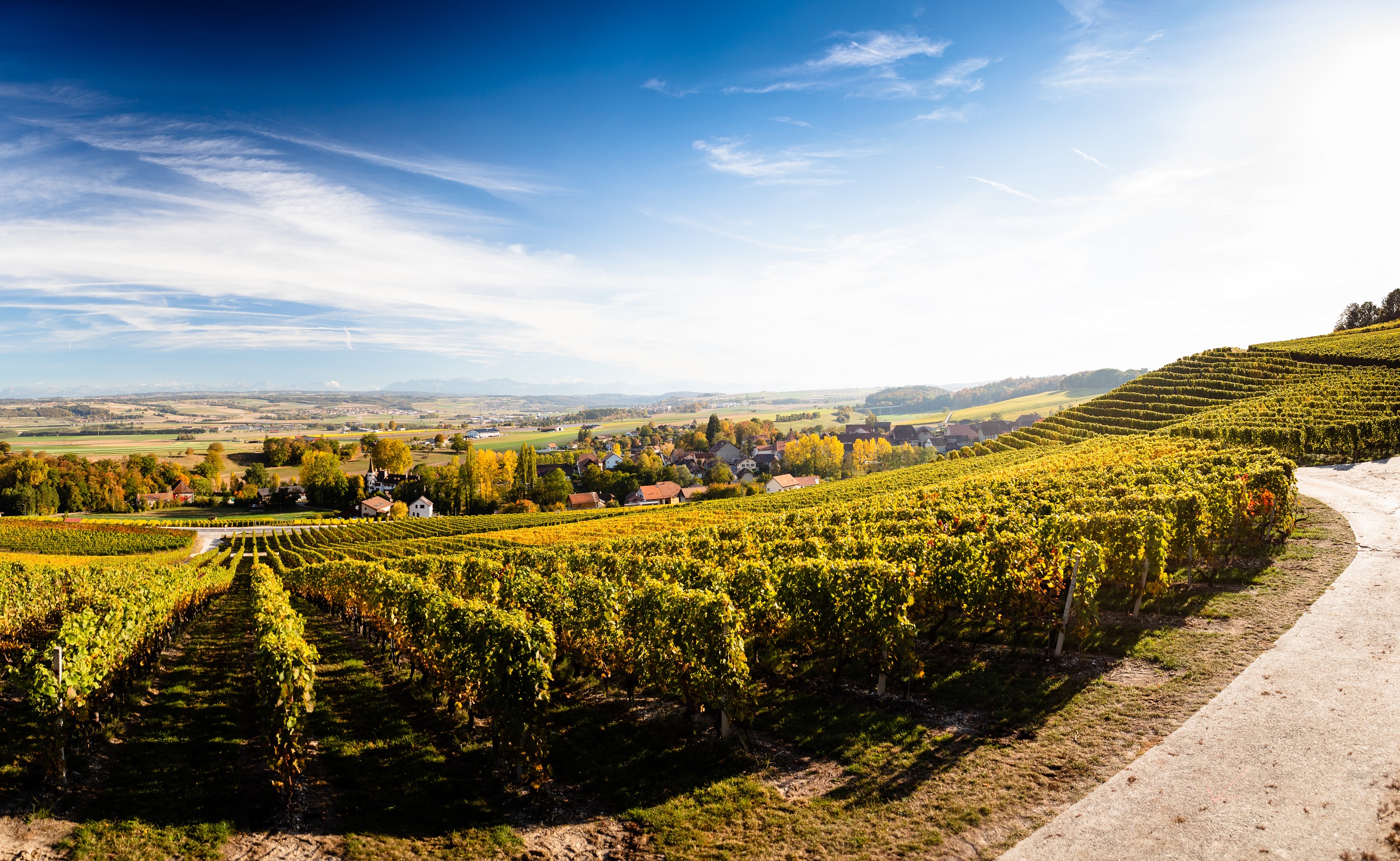 Côtes de l'Orbe AOC