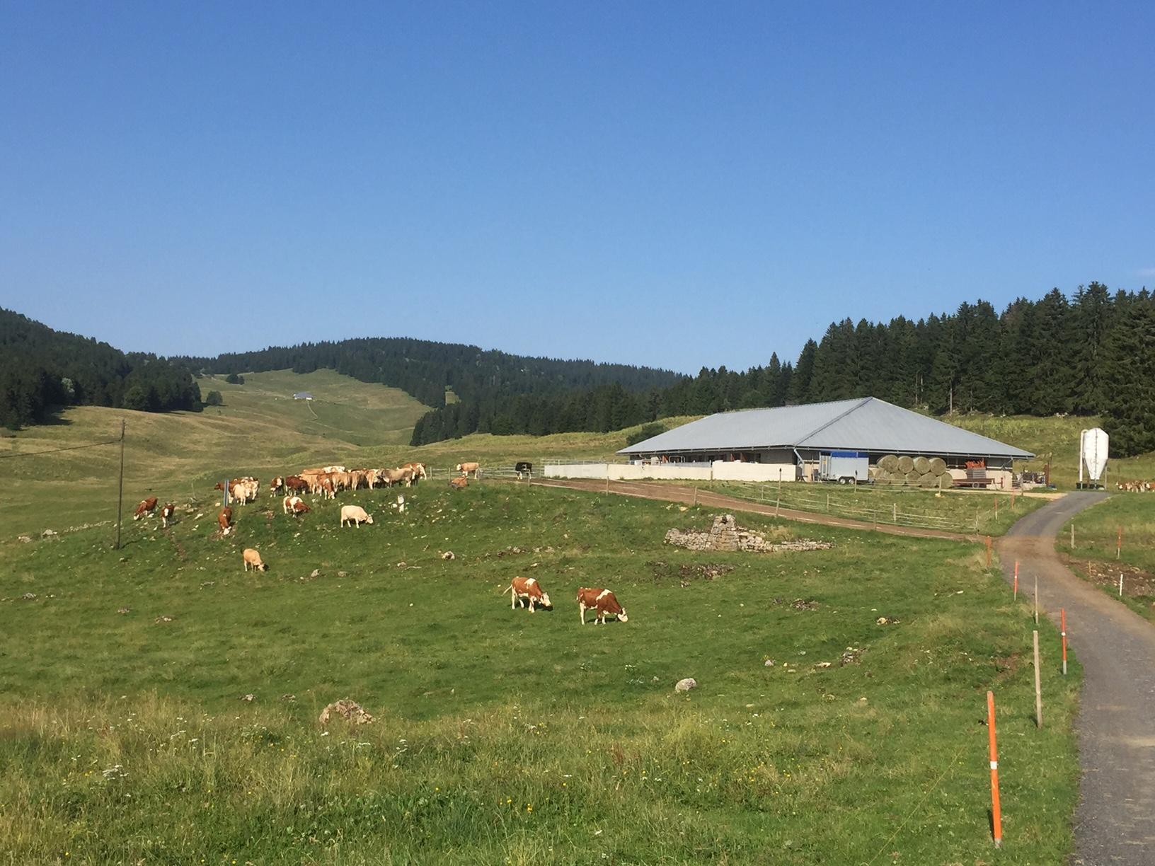 Gruyère d'alpage AOP - La Baronne