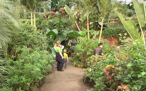 Papiliorama