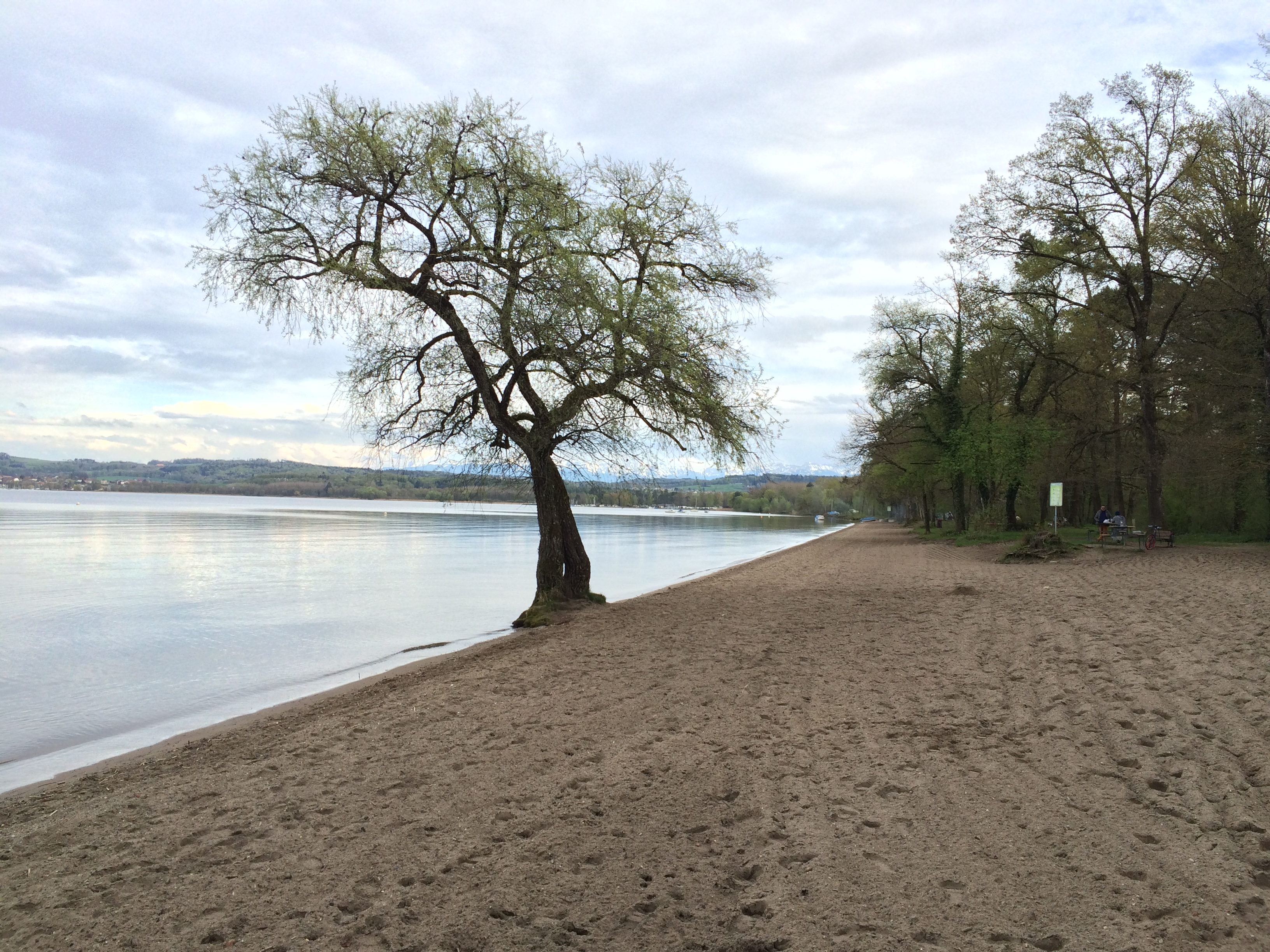 Vully-les-Lacs Tourisme