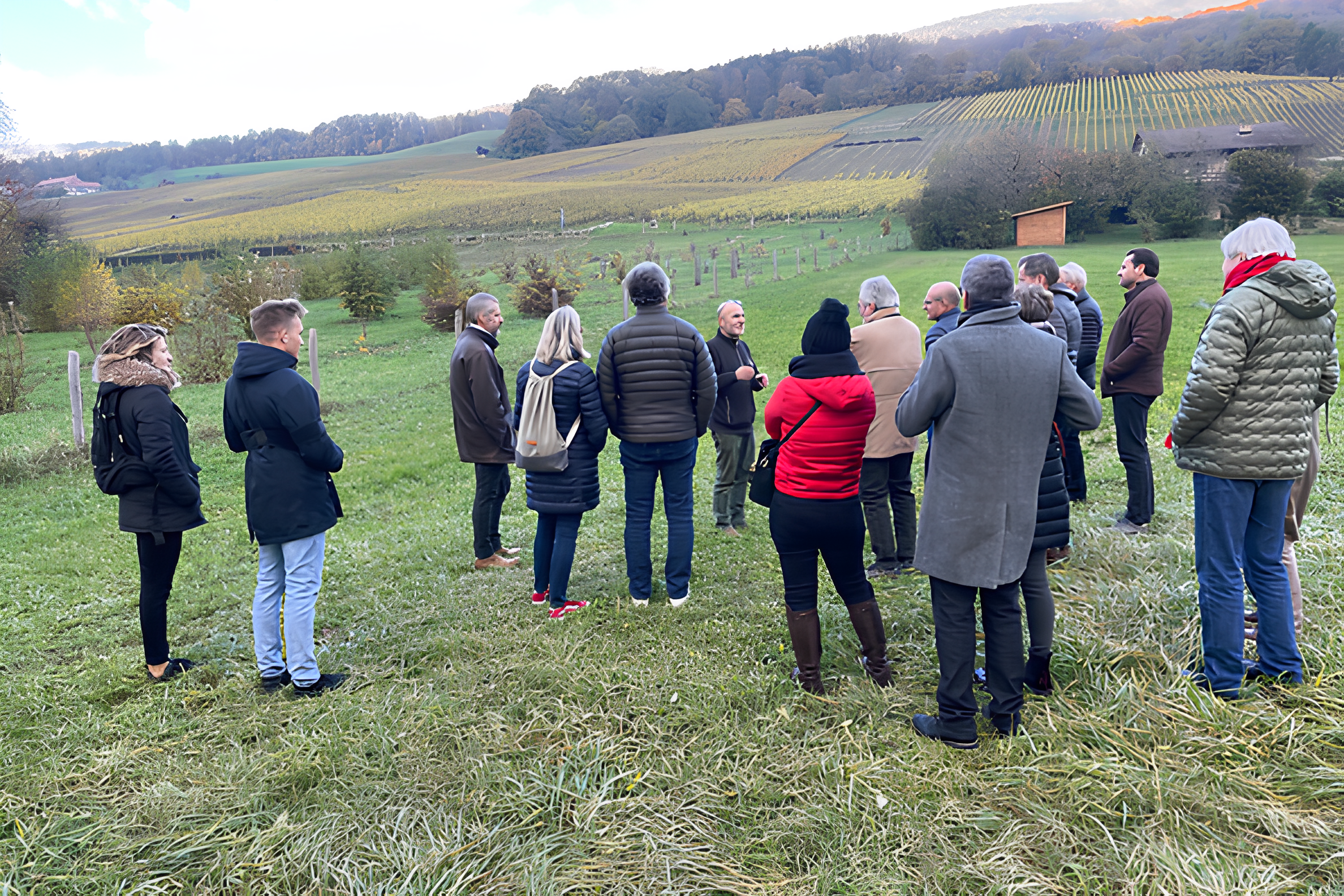 Bonvillars & Truffe : Cours de cavage et cuisine à la Sauvageraie