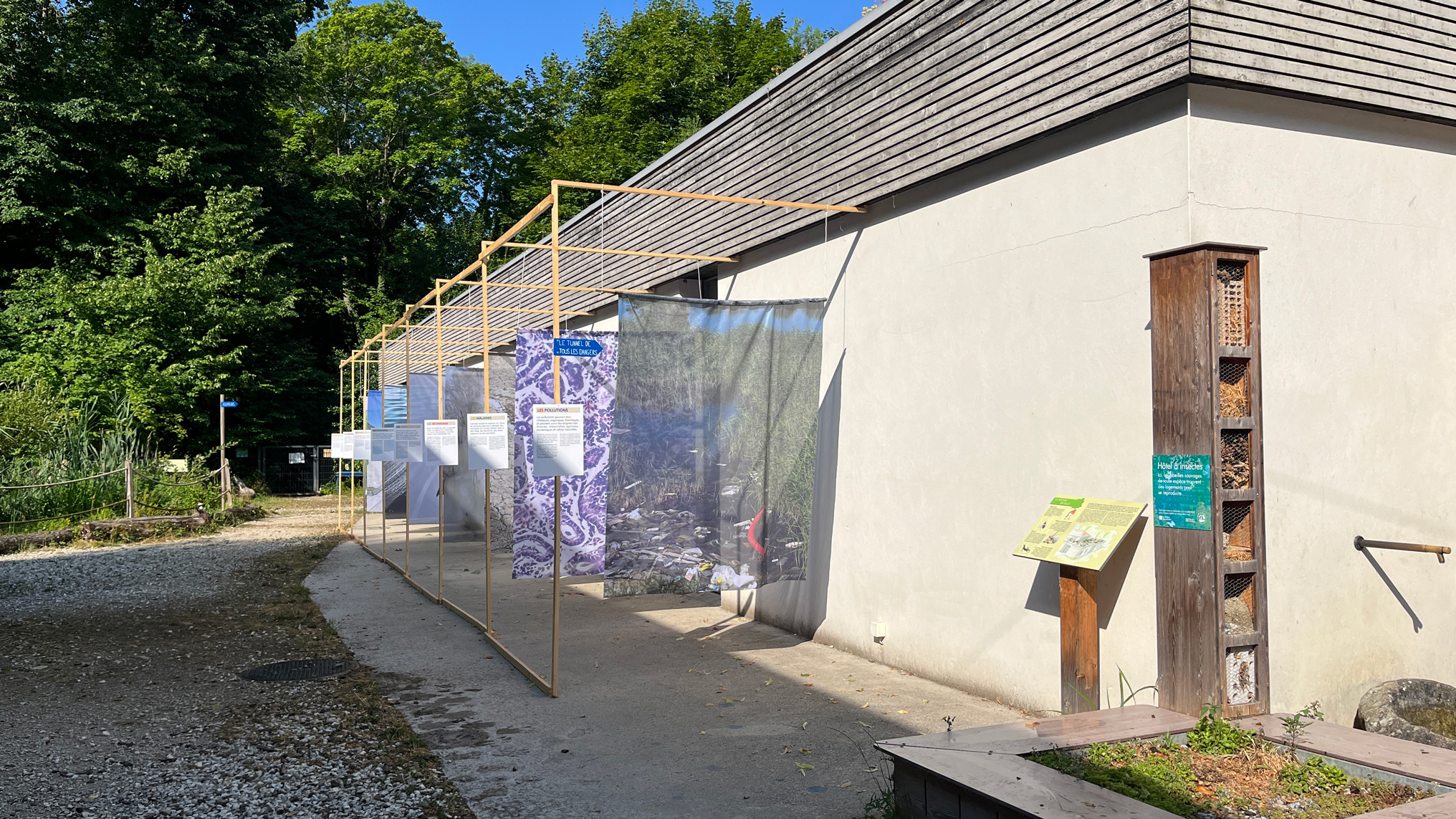 Un poisson comment ça marche ?