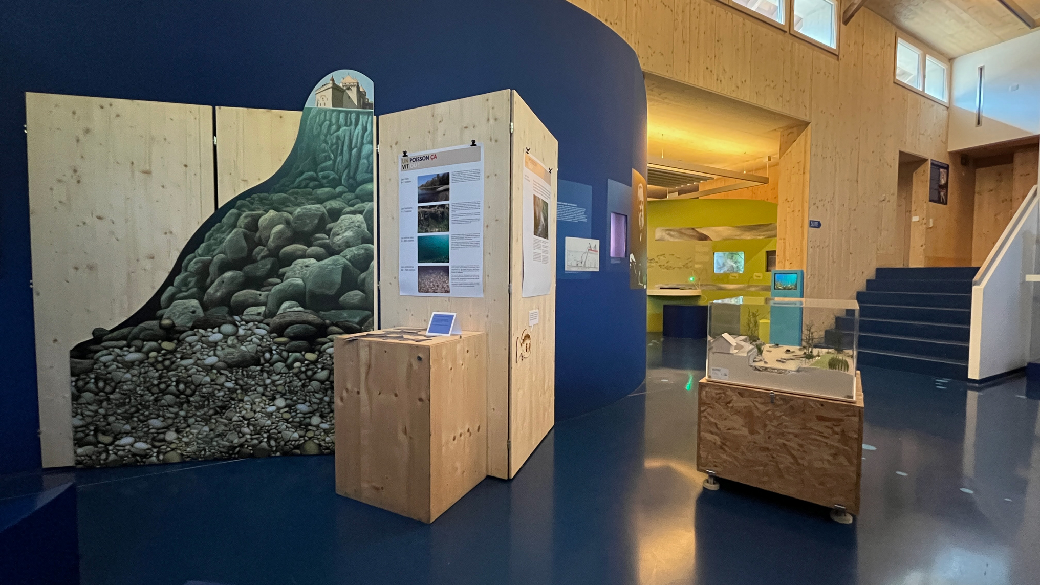 Un poisson comment ça marche ?