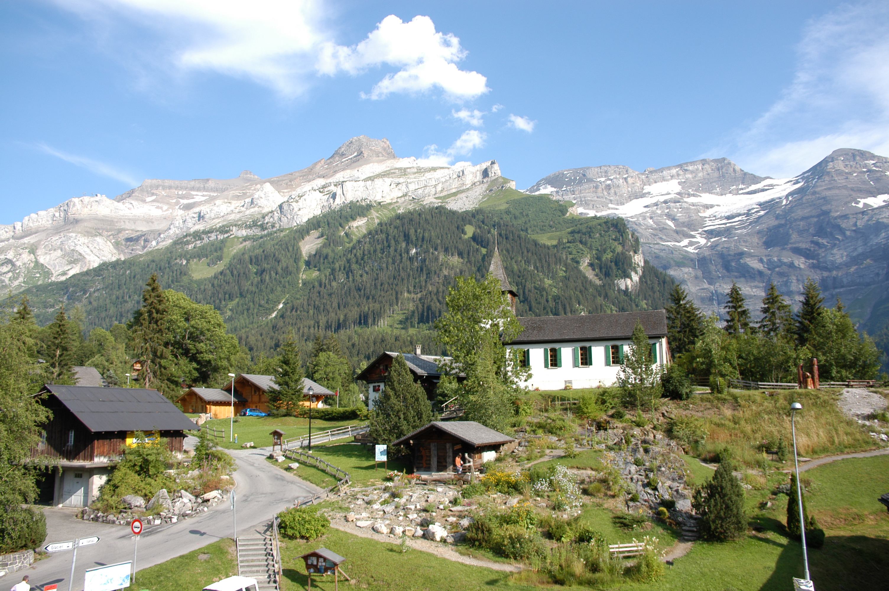 Jardin Alpin des Diablerets avec en fond le Creux de Champs, le massif des Diablerets et l'Oldenhorn